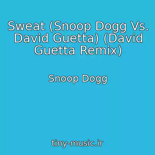کاور آهنگ Sweat (Snoop Dogg Vs. David Guetta) (David Guetta Remix) از Snoop Dogg