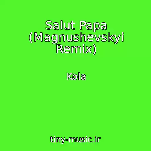 کاور آهنگ Salut Papa (Magnushevskyi Remix) از Kola