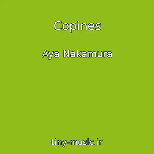 کاور آهنگ Copines از Aya Nakamura