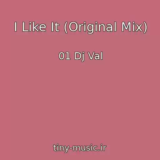 کاور آهنگ I Like It (Original Mix) از 01 Dj Val
