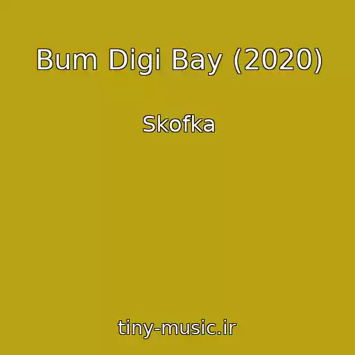 کاور آهنگ Bum Dіgі Bay (2020) از Skofka