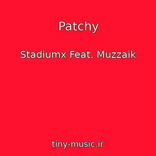 کاور آهنگ Patchy از Stadiumx Feat. Muzzaik