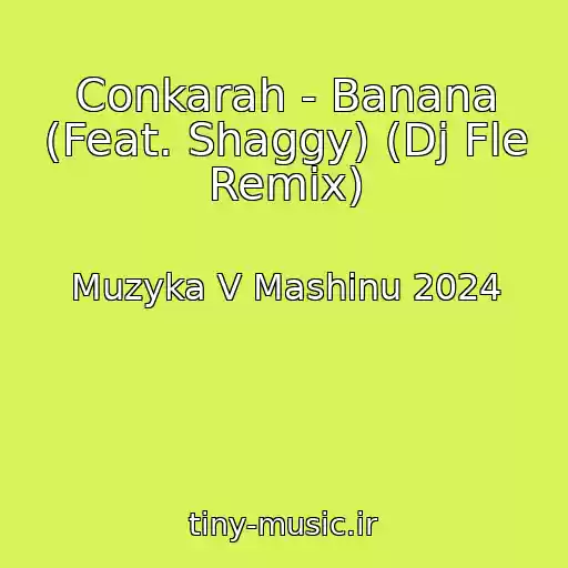 کاور آهنگ Conkarah - Banana (Feat. Shaggy) (Dj Fle Remix) از Muzyka V Mashinu 2024
