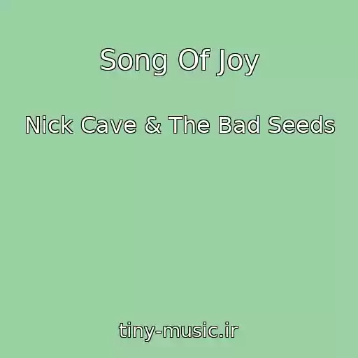 کاور آهنگ Song Of Joy از Nick Cave & The Bad Seeds