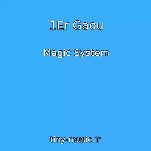 کاور آهنگ 1Er Gaou از Magic System