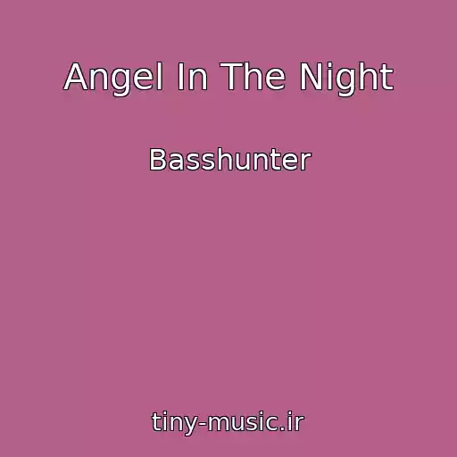 کاور آهنگ Angel In The Night از Basshunter