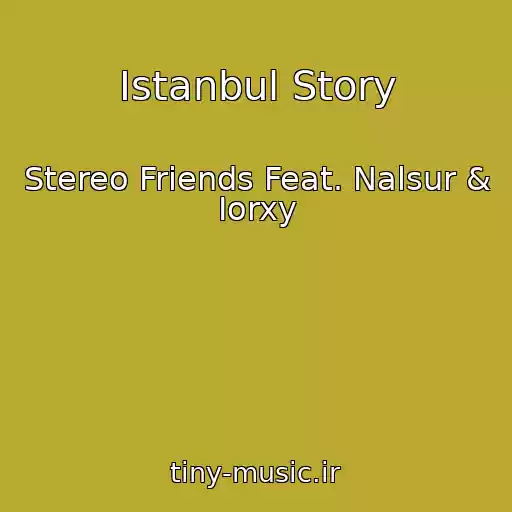 کاور آهنگ Istanbul Story از Stereo Friends Feat. Nalsur & Iorxy