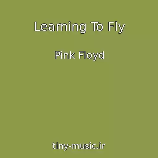 کاور آهنگ Learning To Fly از Pink Floyd