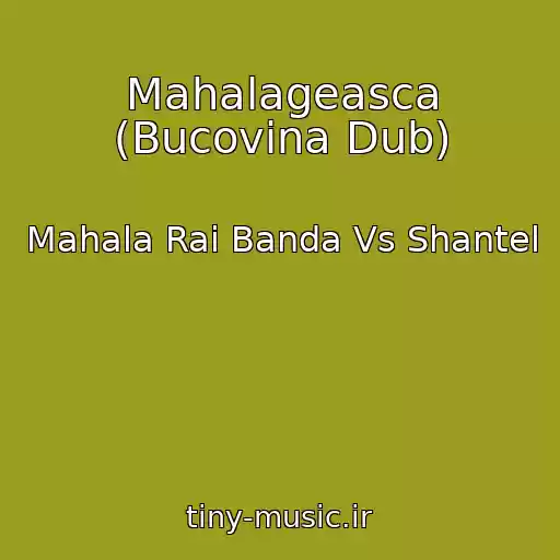 کاور آهنگ Mahalageasca (Bucovina Dub) از Mahala Rai Banda Vs Shantel