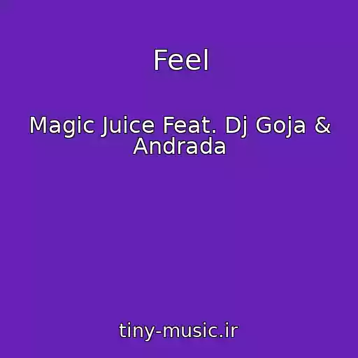 کاور آهنگ Feel از Magic Juice Feat. Dj Goja & Andrada
