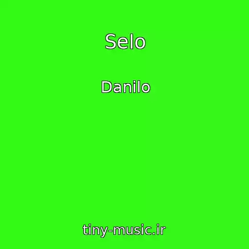 کاور آهنگ Selo از Danilo