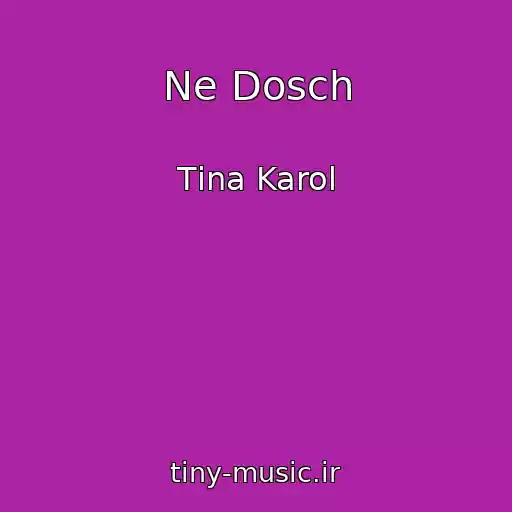 کاور آهنگ Ne Dosch از Tіna Karol