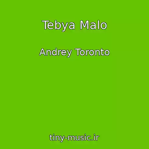 کاور آهنگ Tebya Malo از Andrey Toronto