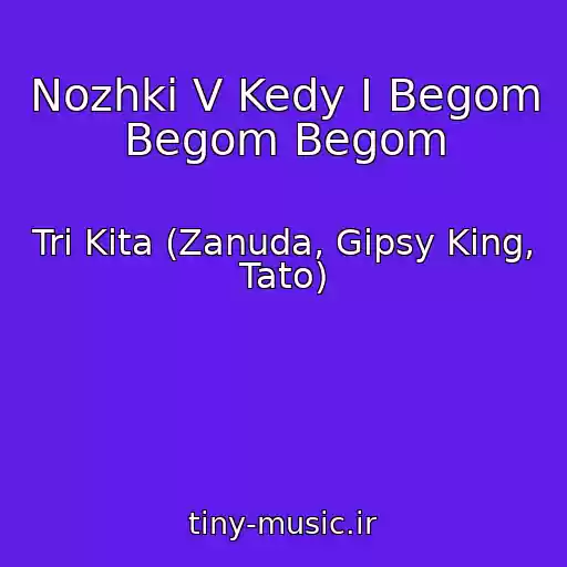 کاور آهنگ Nozhki V Kedy I Begom Begom Begom از Tri Kita (Zanuda, Gipsy King, Tato)