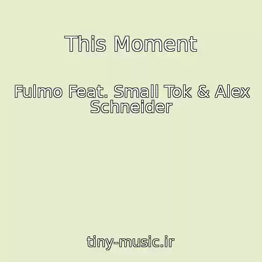 کاور آهنگ This Moment از Fulmo Feat. Small Tok & Alex Schneider