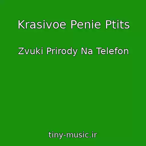 کاور آهنگ Krasivoe Penie Ptits از Zvuki Prirody Na Telefon