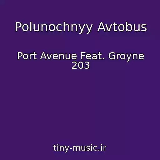کاور آهنگ Polunochnyy Avtobus از Port Avenue Feat. Groyne 203