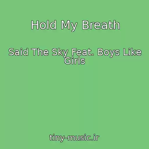 کاور آهنگ Hold My Breath از Said The Sky Feat. Boys Like Girls