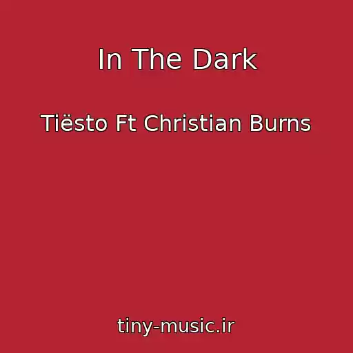 کاور آهنگ In The Dark از Tiësto Ft Christian Burns