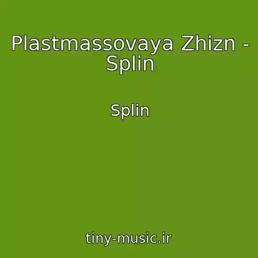 کاور آهنگ Plastmassovaya Zhizn - Splin از Splin