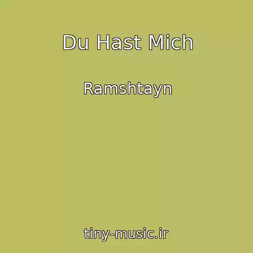 کاور آهنگ Du Hast Mich از Ramshtayn