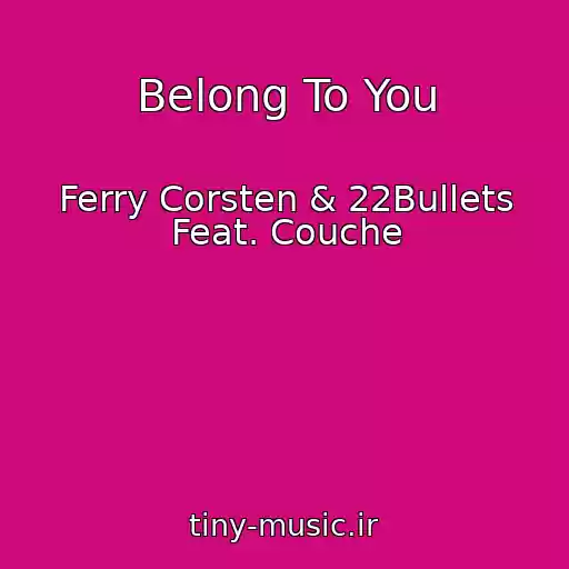 کاور آهنگ Belong To You از Ferry Corsten & 22Bullets Feat. Couche