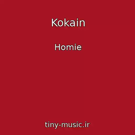 کاور آهنگ Kokain از Homie