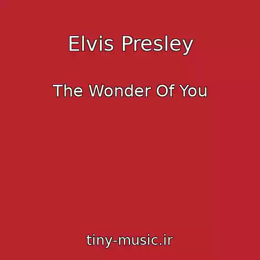 کاور آهنگ Elvis Presley از The Wonder Of You