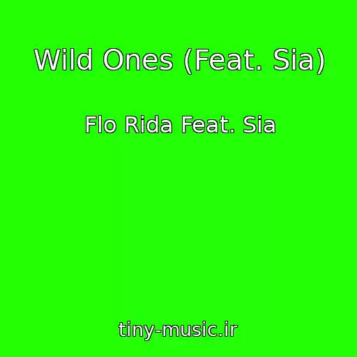 کاور آهنگ Wild Ones (Feat. Sia) از Flo Rida Feat. Sia