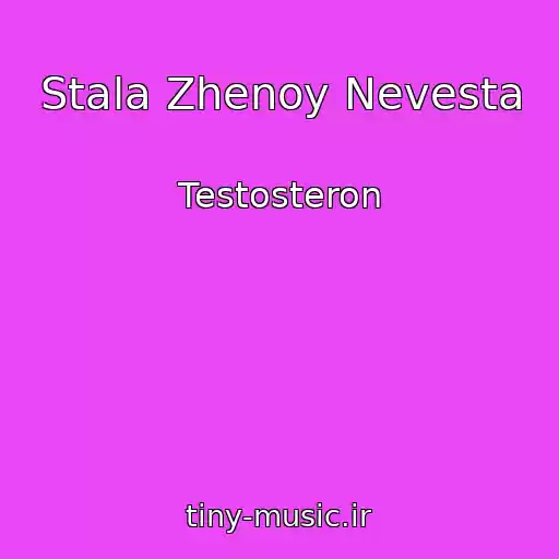 کاور آهنگ Stala Zhenoy Nevesta از Testosteron