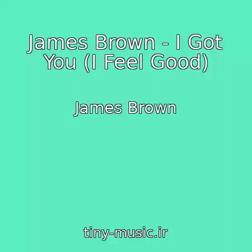 کاور آهنگ James Brown - I Got You (I Feel Good) از James Brown
