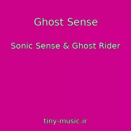 کاور آهنگ Ghost Sense از Sonic Sense & Ghost Rider