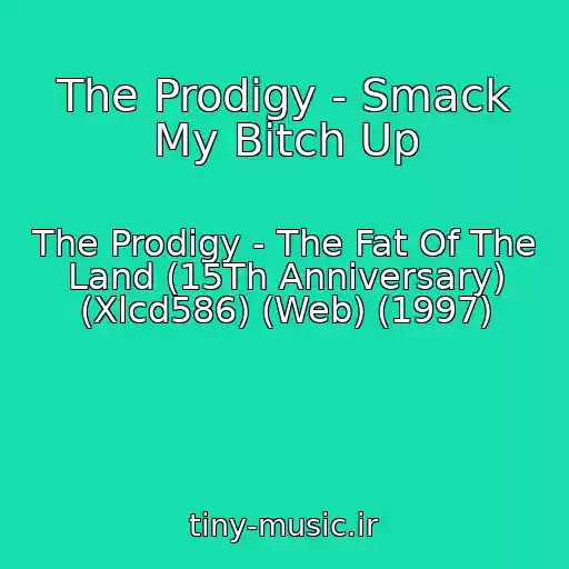 کاور آهنگ The Prodigy - Smack My Bitch Up از The Prodigy - The Fat Of The Land (15Th Anniversary) (Xlcd586) (Web) (1997)