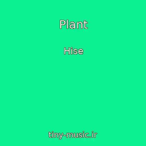 کاور آهنگ Plant از Hise