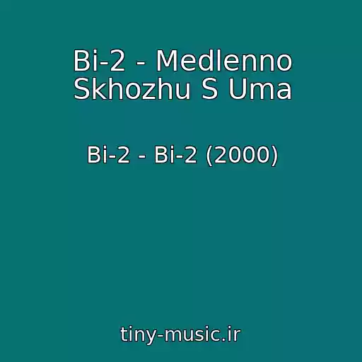 کاور آهنگ Bi-2 - Medlenno Skhozhu S Uma از Bi-2 - Bi-2 (2000)