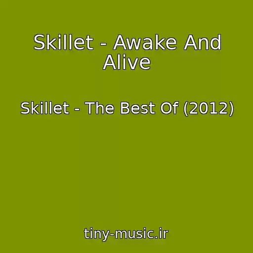 کاور آهنگ Skillet - Awake And Alive از Skillet - The Best Of (2012)