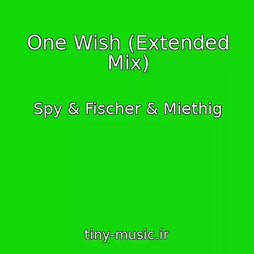 کاور آهنگ One Wish (Extended Mix) از Spy & Fischer & Miethig