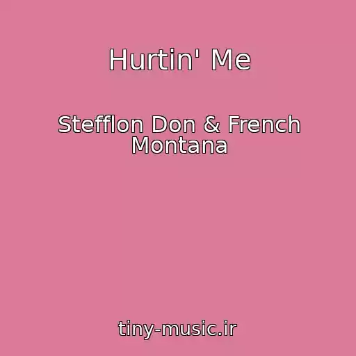 کاور آهنگ Hurtin' Me از Stefflon Don & French Montana