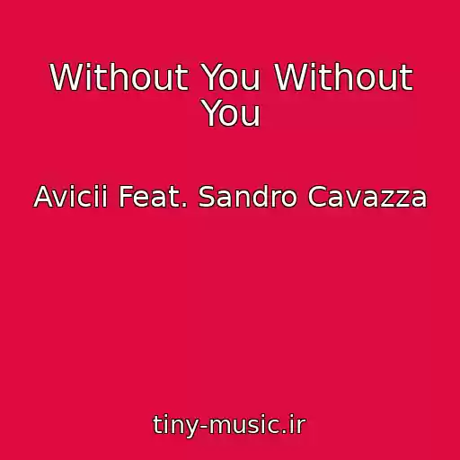 کاور آهنگ Without You Without You از Avicii Feat. Sandro Cavazza