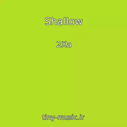 کاور آهنگ Shallow از 2Xa
