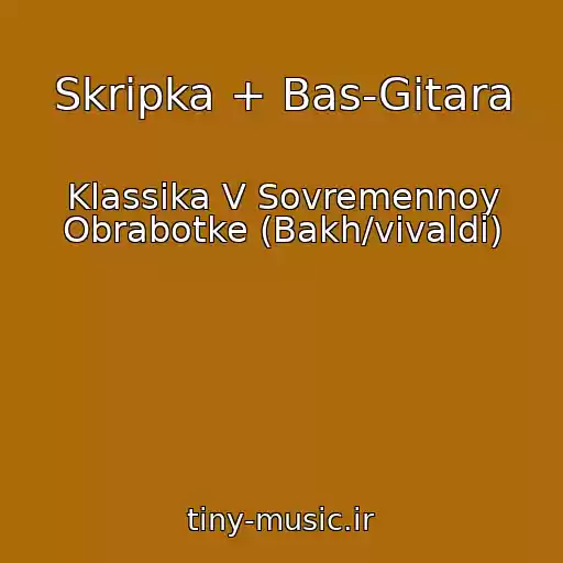 کاور آهنگ Skripka + Bas-Gitara از Klassika V Sovremennoy Obrabotke (Bakh/vivaldi)