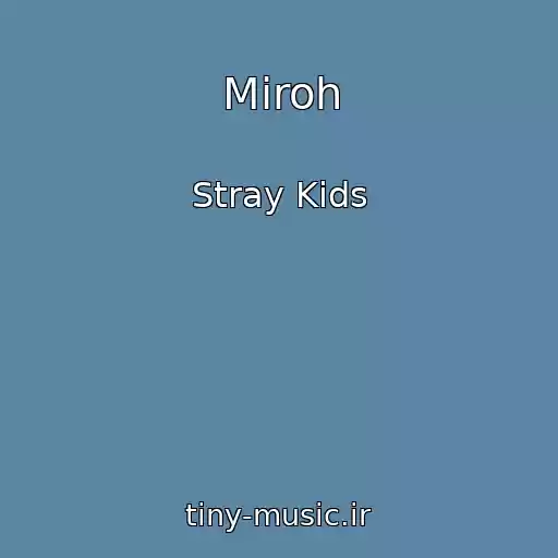 کاور آهنگ Miroh از Stray Kids