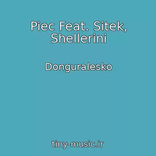 کاور آهنگ Piec Feat. Sitek, Shellerini از Donguralesko