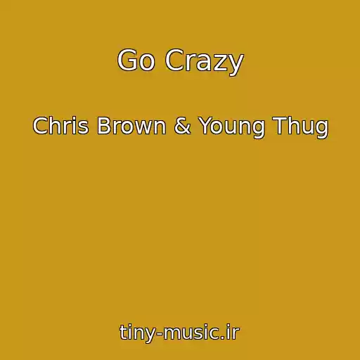 کاور آهنگ Go Crazy از Chris Brown & Young Thug
