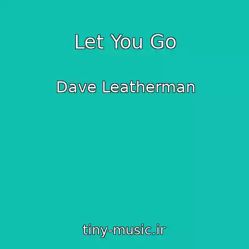 کاور آهنگ Let You Go از Dave Leatherman
