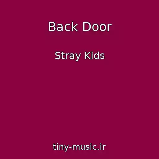 کاور آهنگ Back Door از Stray Kids