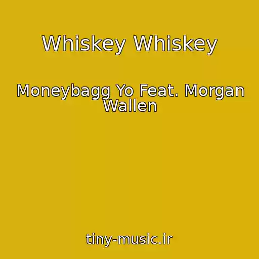کاور آهنگ Whiskey Whiskey از Moneybagg Yo Feat. Morgan Wallen
