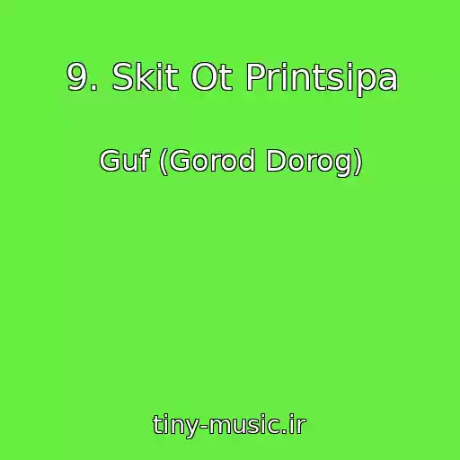 کاور آهنگ 9. Skit Ot Printsipa از Guf (Gorod Dorog)