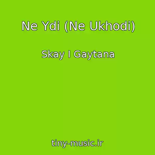 کاور آهنگ Ne Ydi (Ne Ukhodi) از Skay І Gaytana