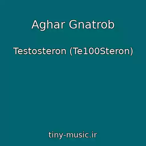 کاور آهنگ Aghar Gnatrob از Testosteron (Te100Steron)